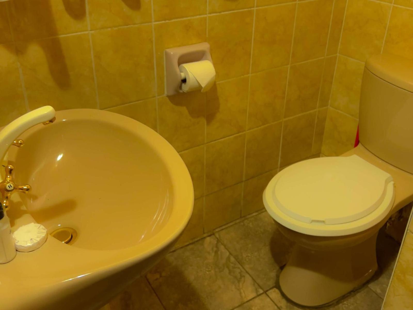 Mopani Lodge ヴィクトリア・フォールズ 部屋 写真